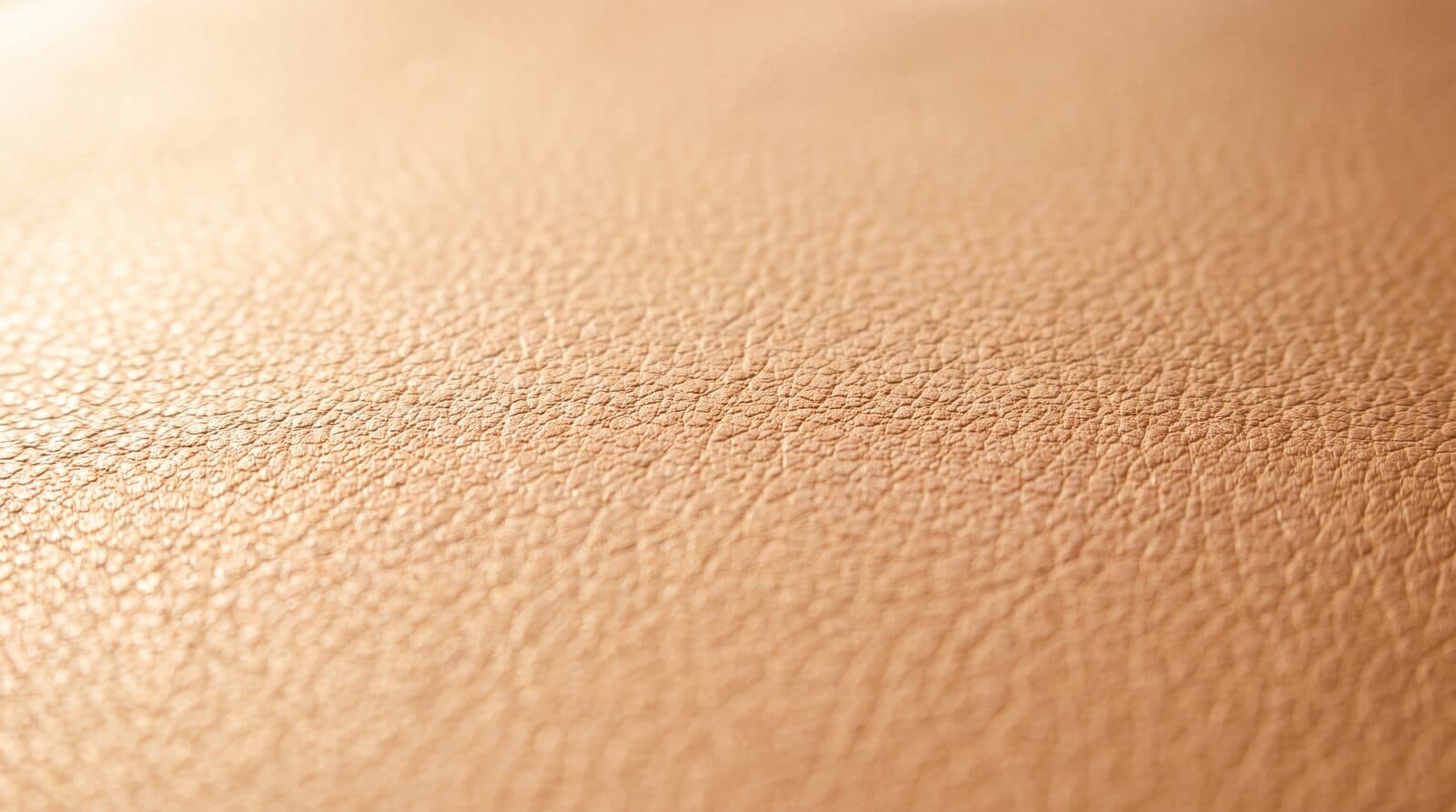A warm neutral textured surface in soft daylight